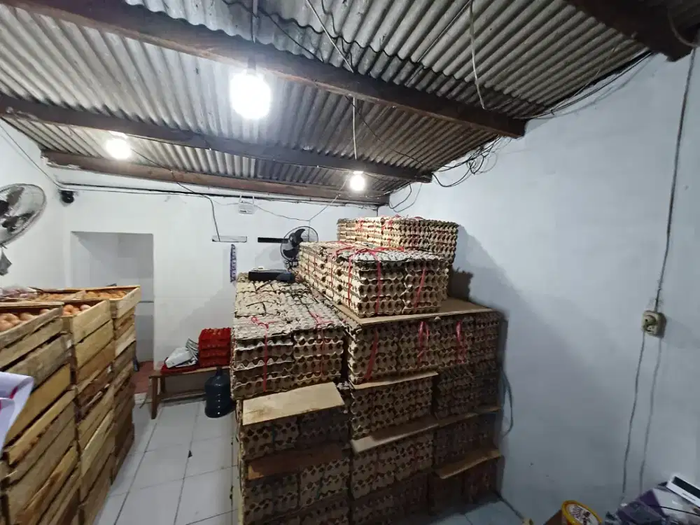 sales telur keliling freelance