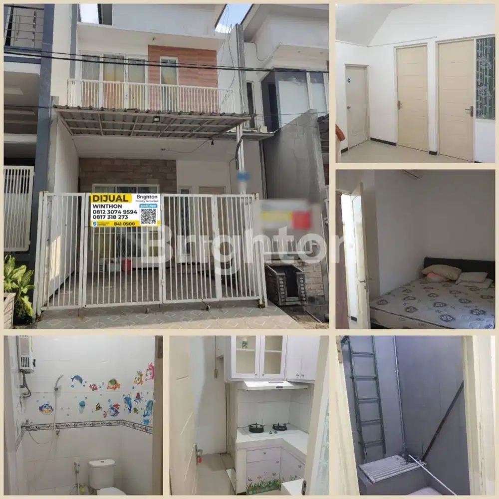 Tenggillis Minimalis hrg 1m, Langka, Jarang Ada