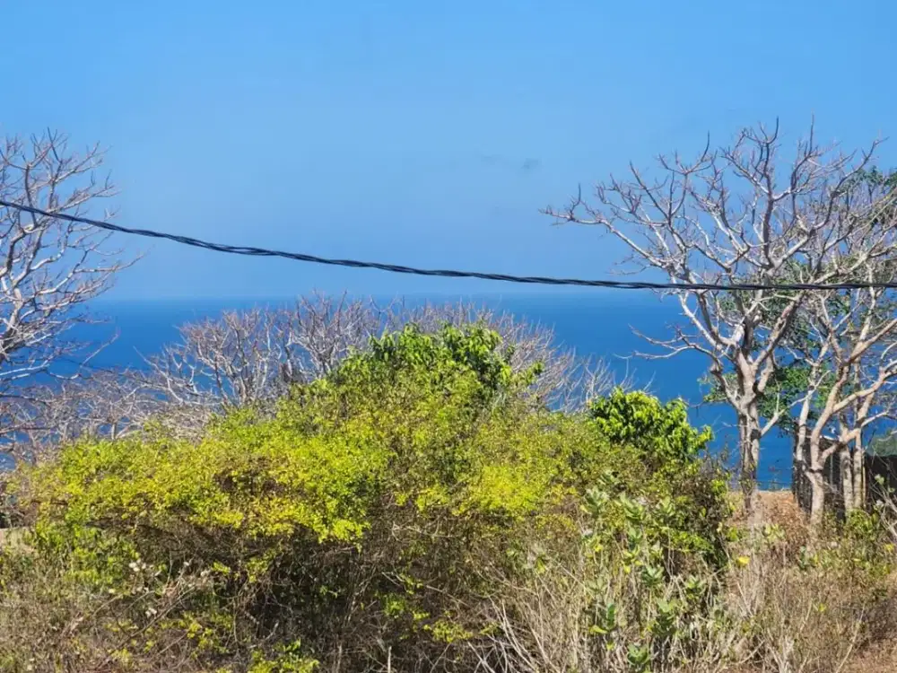 Dijual Lahan Premium 2,5 Hektar Zona Pariwisata Dekat Pantai Pandawa Bali – Cocok untuk Villa Resort dan Investasi