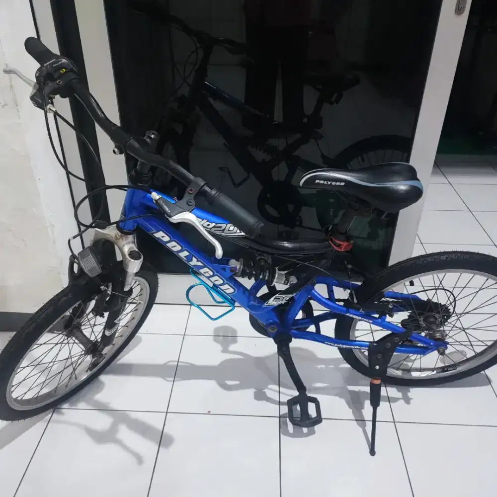 Jual Sepeda Polygon Rapid 20