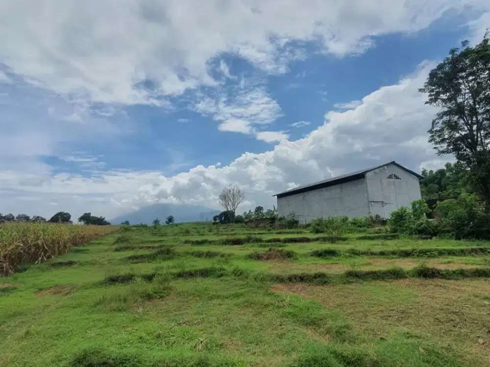 Jual Cepat Tanah Nol Jl Raya Provinsi di Desa Simbaringin Kutorejo Mojokerto Bisa Industri