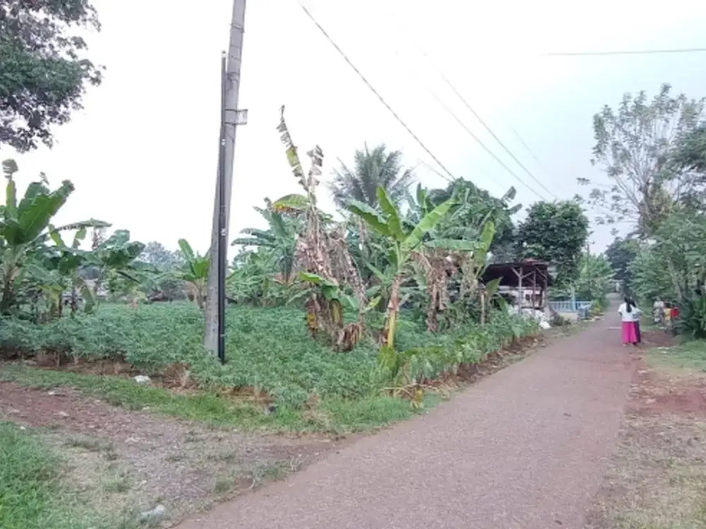 Dijual Tanah di Pabuaran Kemang kab Bogor