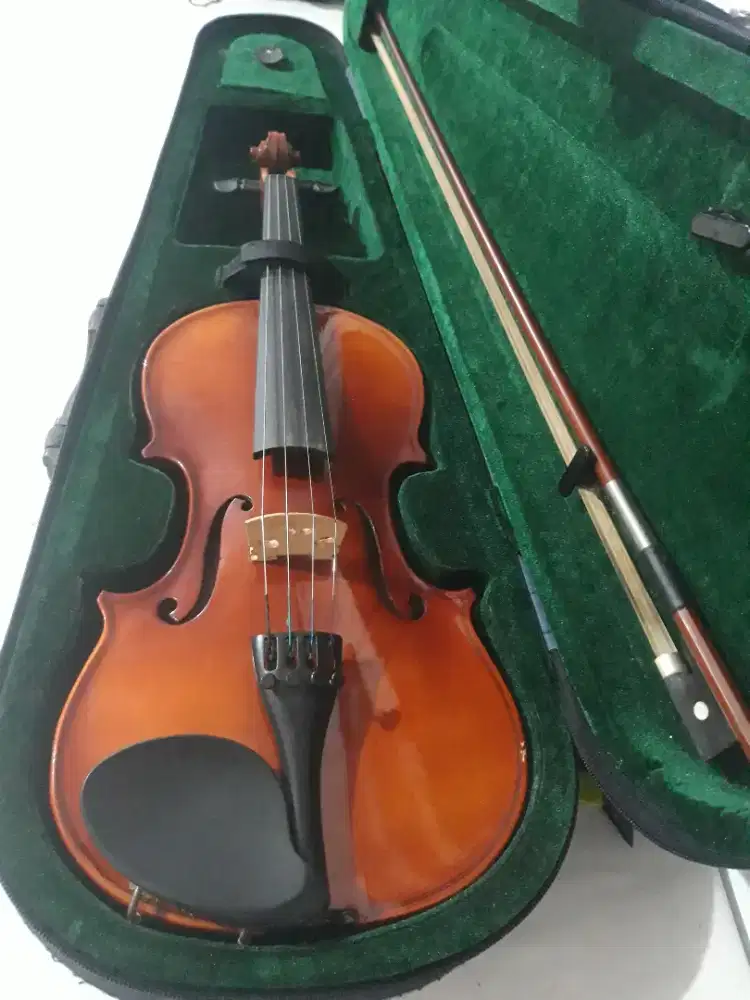 Violin Skylark MV 005 4/4