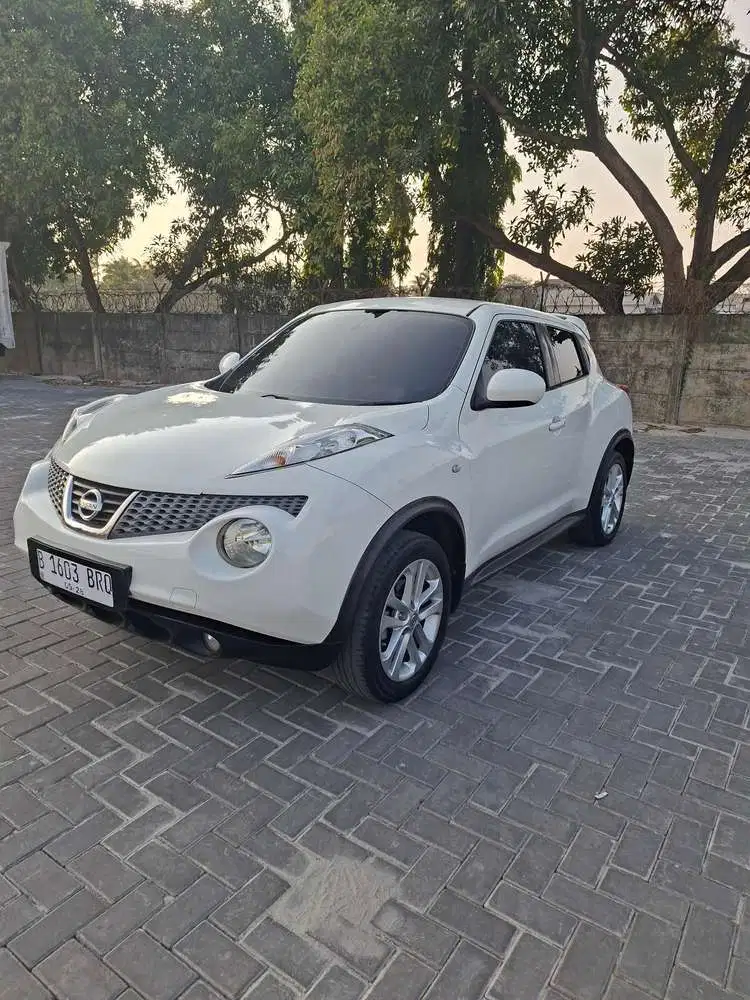 Nissan Juke RX at 2013