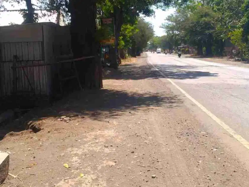 Dijual tanah di Pantura Situbondo