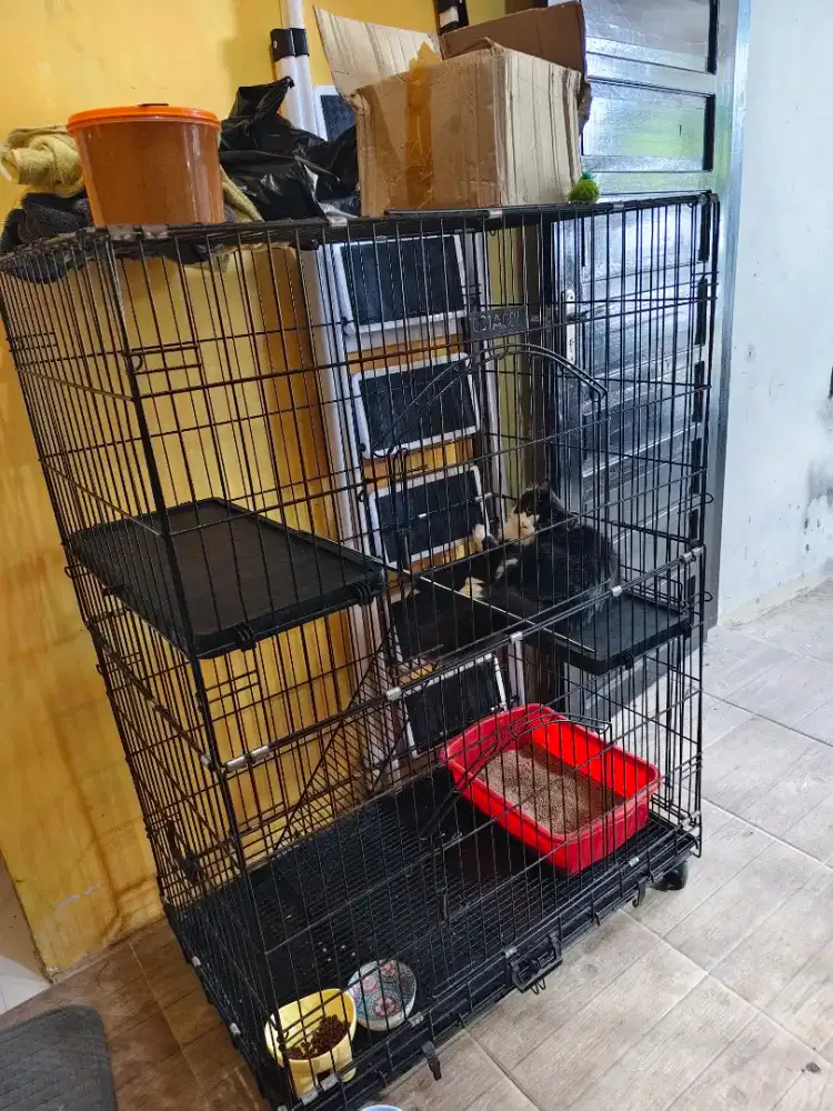 Kandang Kucing Octagon uk 90