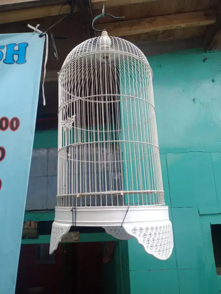 Kandang burung besi
