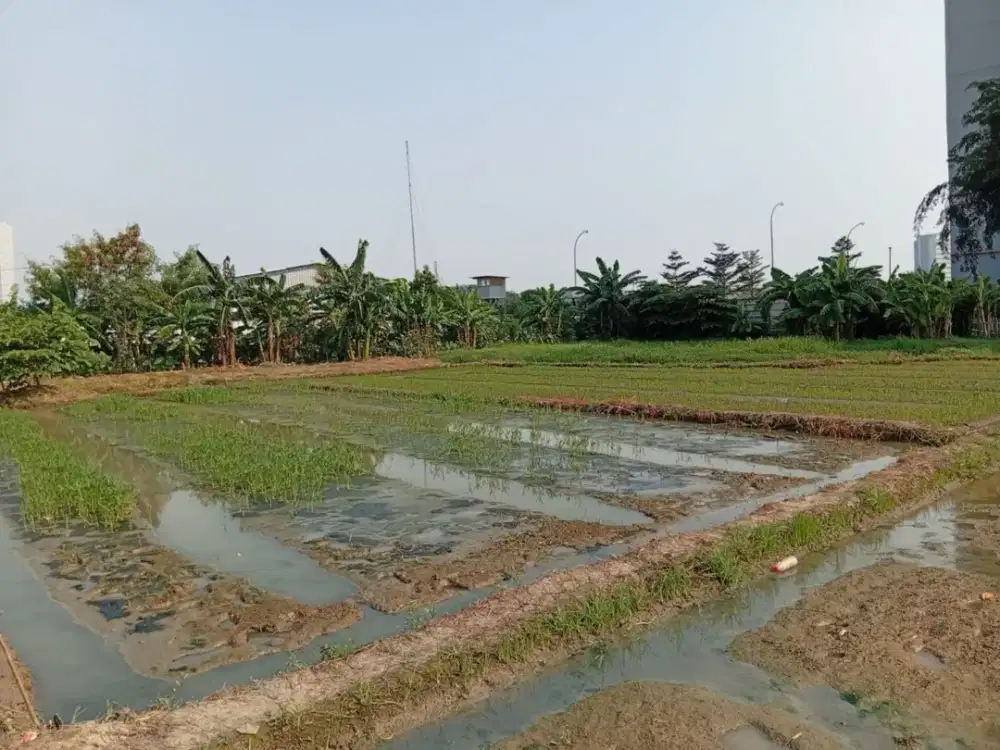 Dijual Tanah Strategis SHM 2,2 Hektare di Jakarta Timur – Cocok untuk Investasi & Pengembangan MK-18518