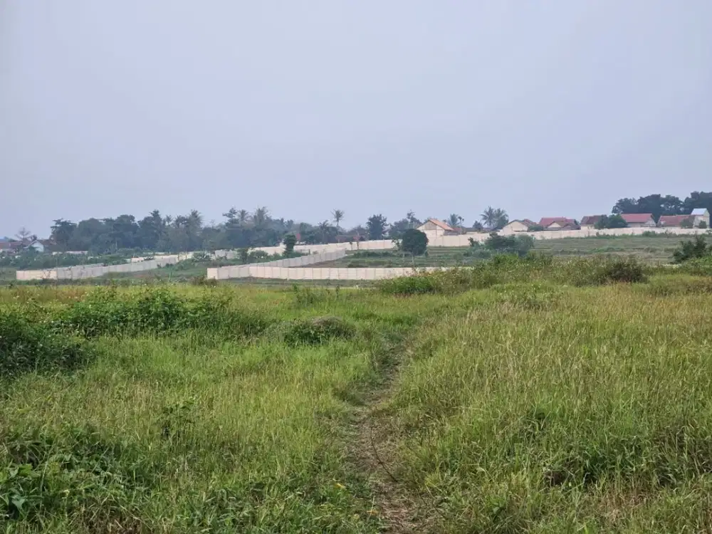 Turun Harga! Tanah Industri 15.000 m² Pinggir Jalan Raya Cikande – Rangkasbitung, SHM