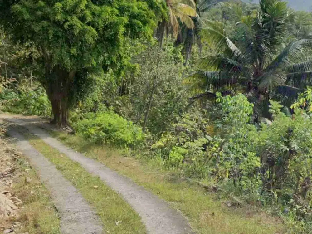 Tanah Murah View indah di Samigaluh Kulon Progo
