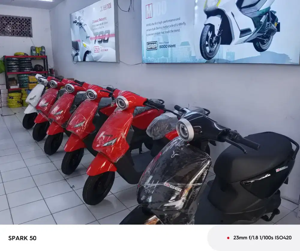 sepeda listrik D66i