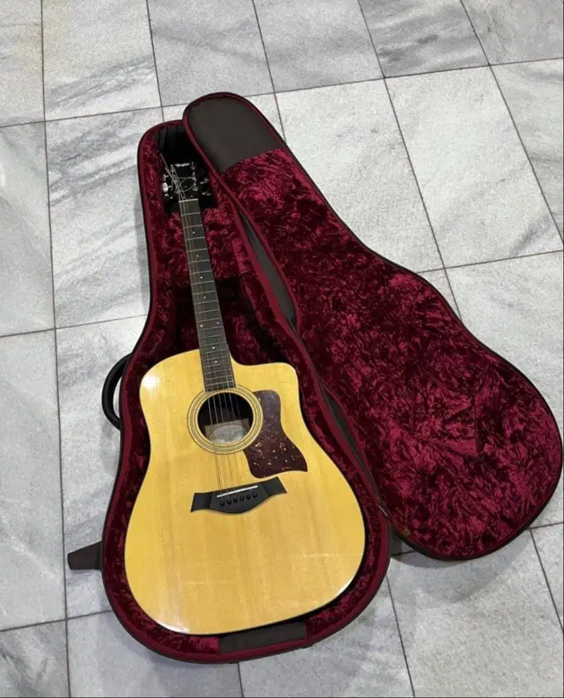 Taylor 210ce Plus Rosewood/Spruce Dreadnought Acoustic Guitar w/Aeroca