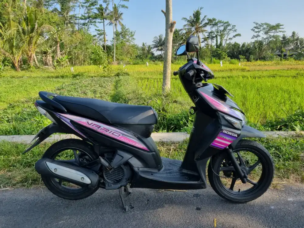 VARIO CW 110 2006