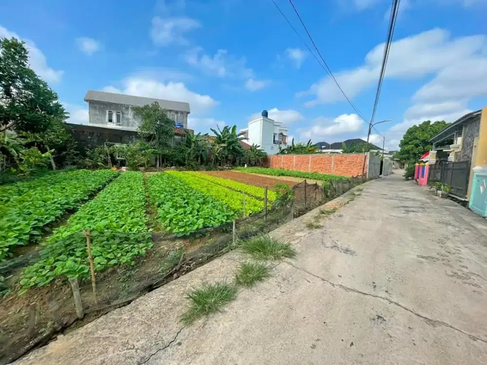 Tanah kosong subur siap bangun palembang jl sukabangun 2