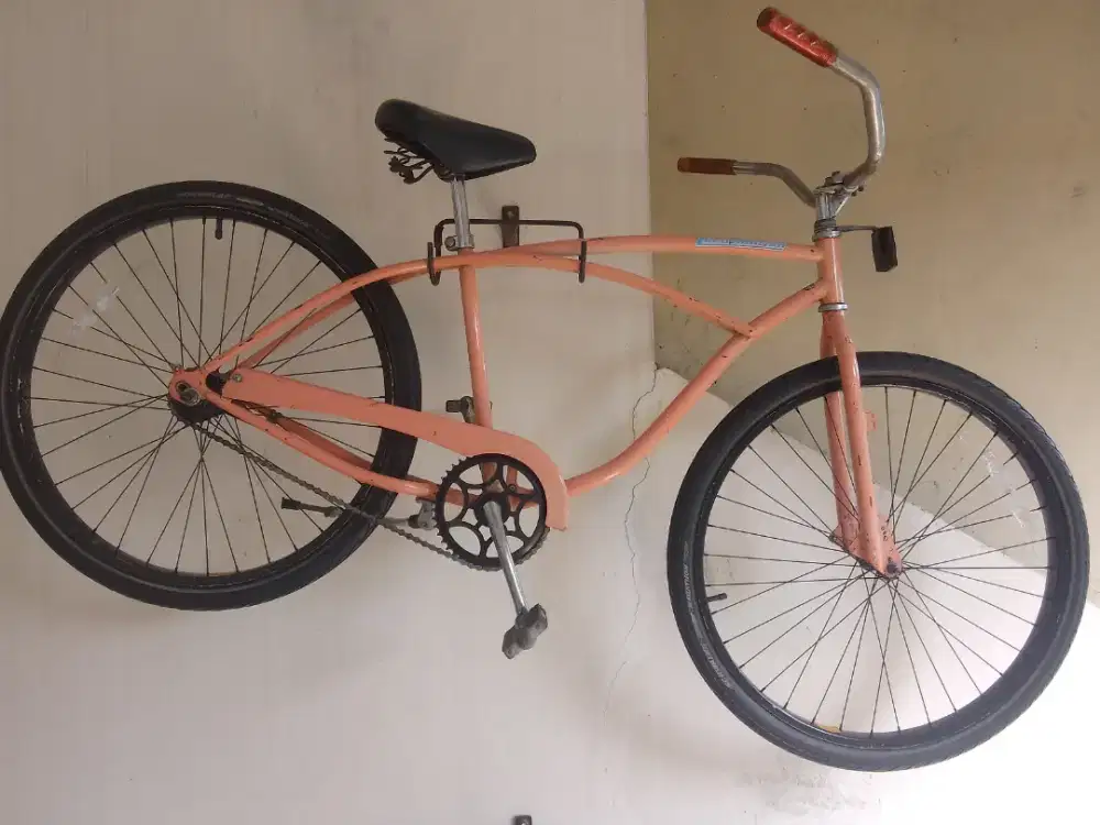 Giant cruiser 26