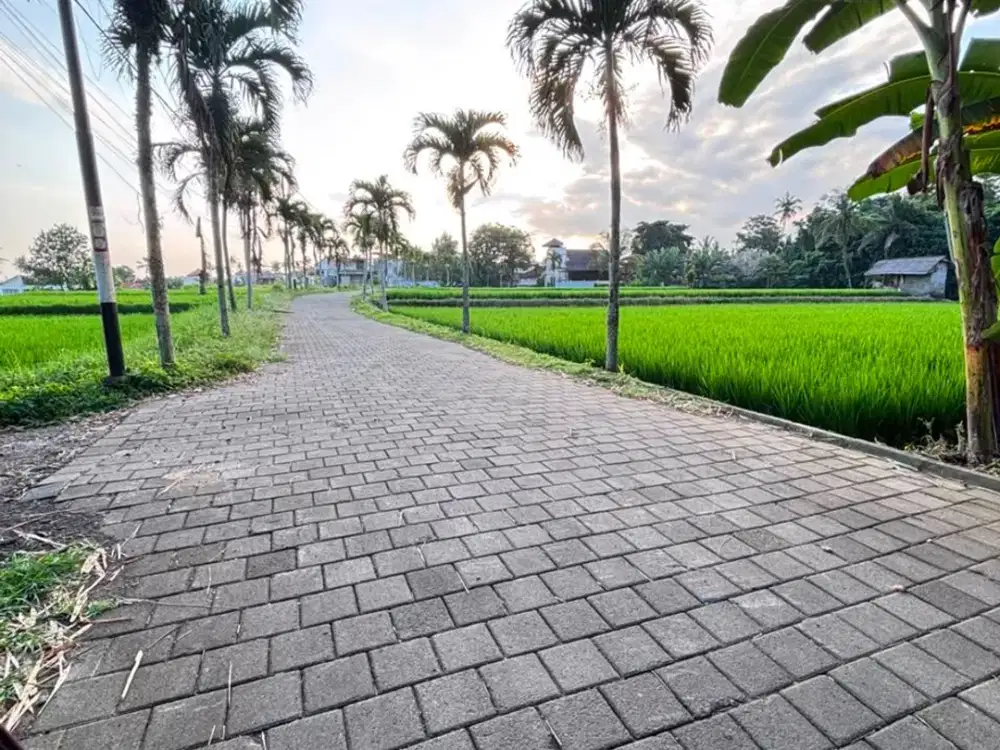 tanah di gianyar kawasan villa dkt ubud,goa gajah, zona kuning