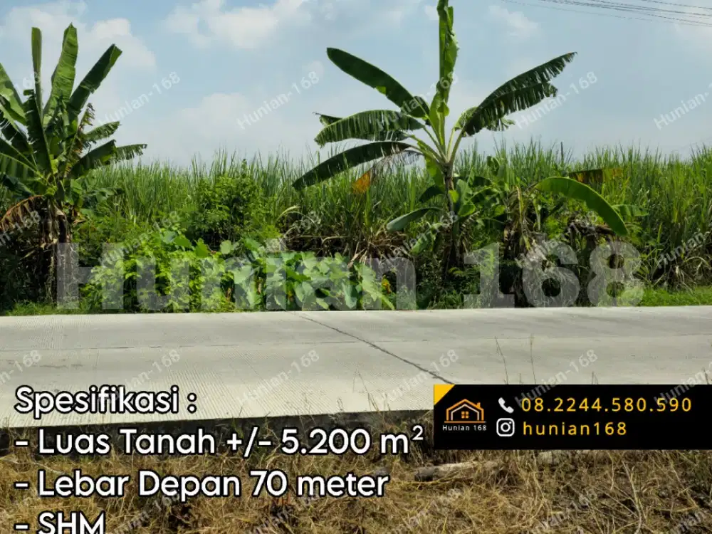 Jual Tanah Kavling Industri Gudang Bekas Pabrik Raya Provinsi Propinsi By Pass Mojokerto Sidorejo Trowulan Kota Kedamean Wringin Anom Jetis Domas Perning Mojorejo Mojokumpul Sawo Mojosari