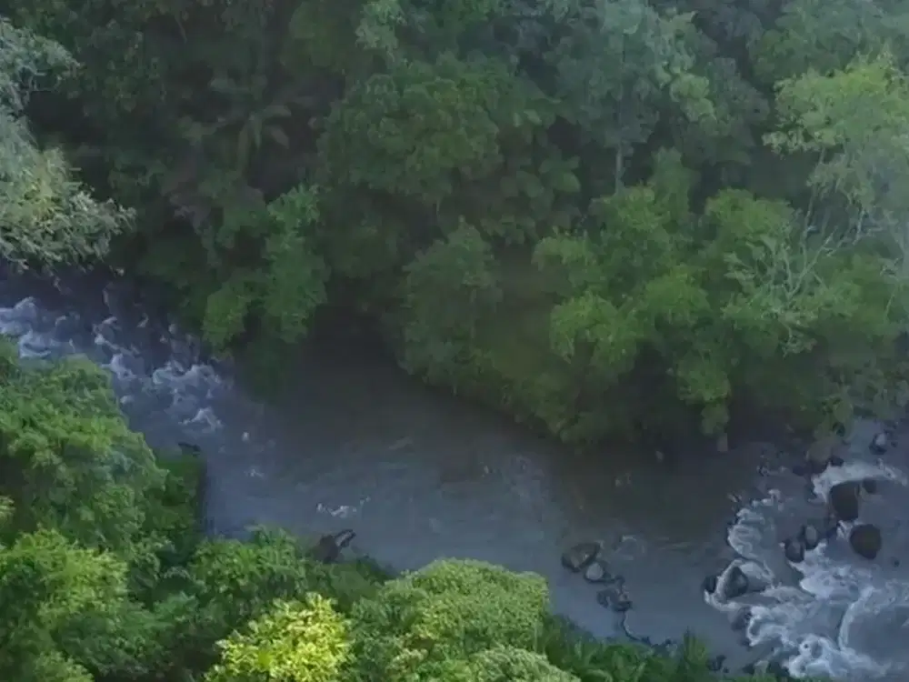 Freehold - Modern 2 Bedroom Villa with Riverside Views 30 Minutes from Ubud Centre