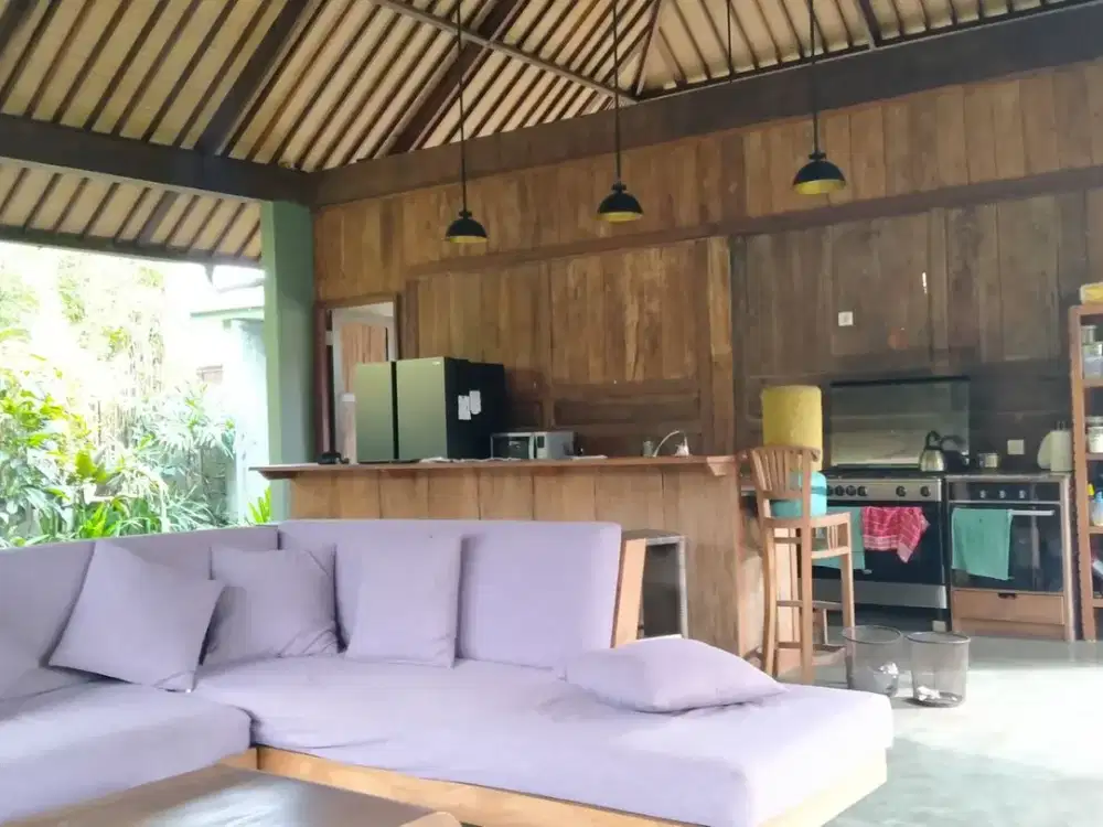 2 Bedroom Leasehold Villa for Sale with Lush Green Views - 10 Minutes from Ubud Center
