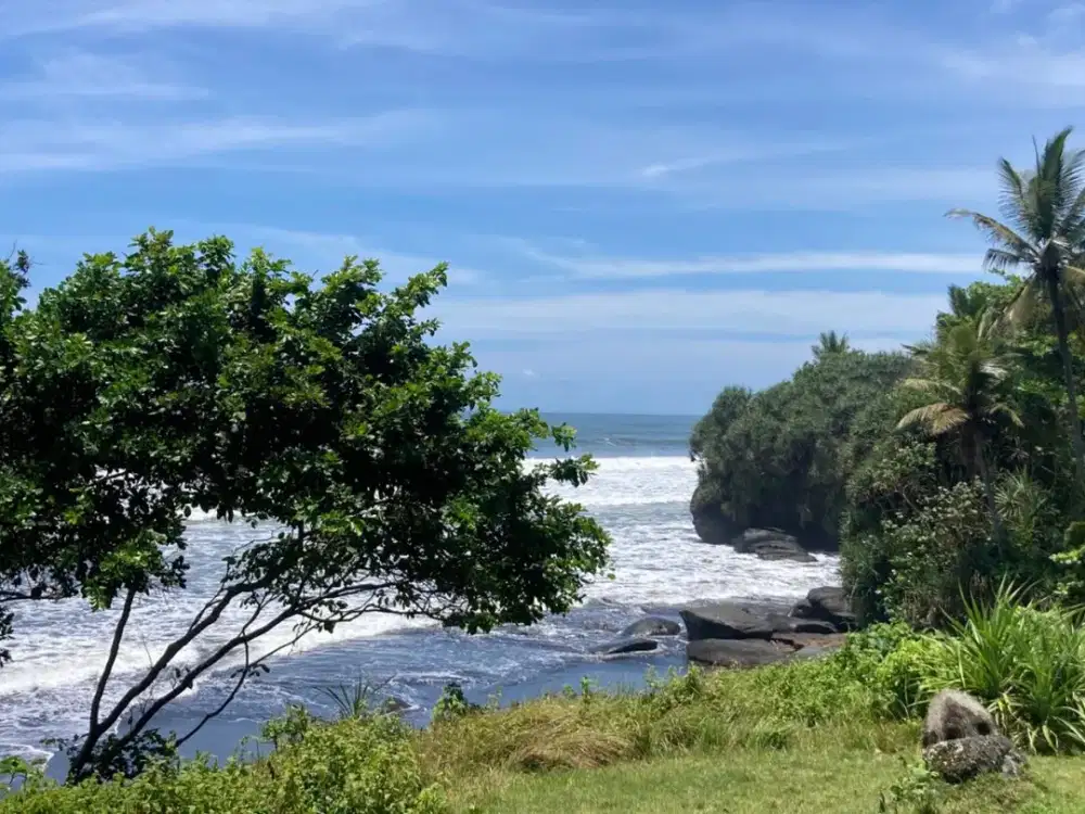 Freehold - Beachfront Land in Great Location Antap Tabanan