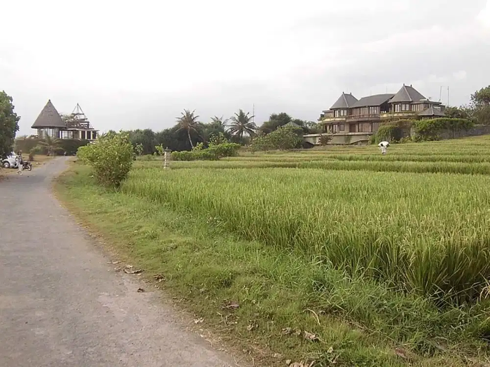 Land 5180 Sqm Beach Front In Tabanan