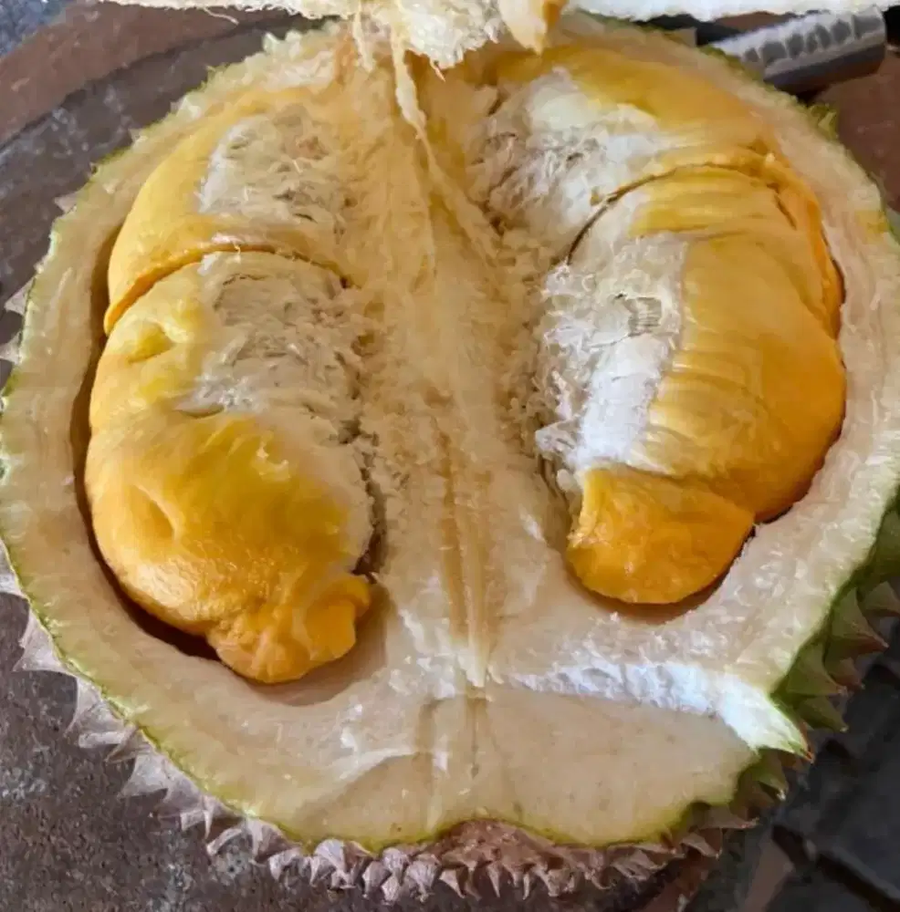 Duren Bawor fresh utuh