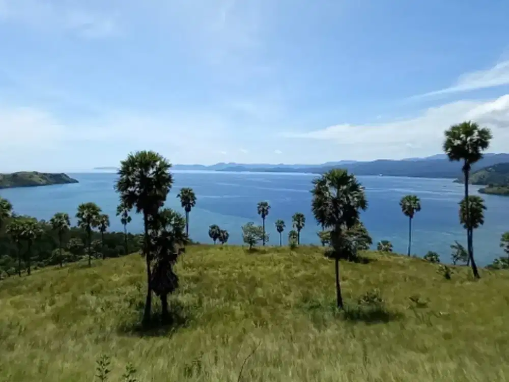 DIJUAL TANAH TEPI TELUK WAECICU TIMUR LABUAN BAJO