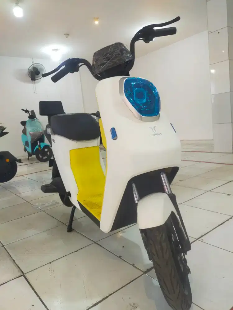 Sepeda listrik M60