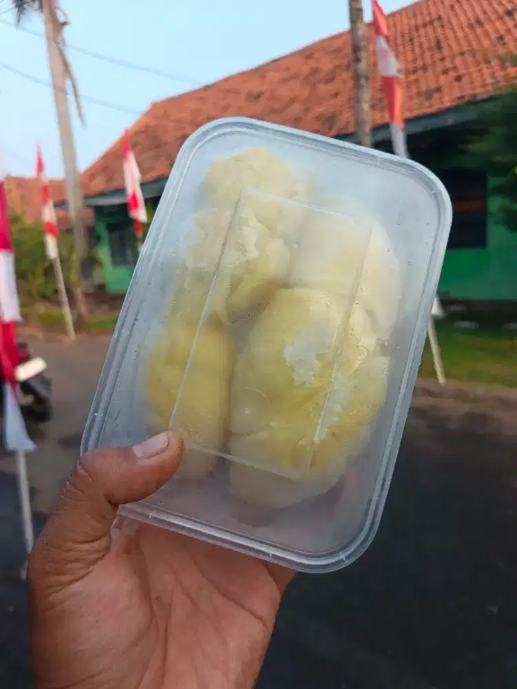 Durian frozen montong sulawesi