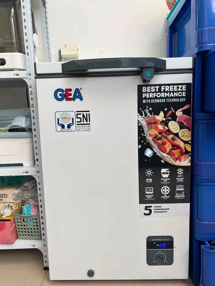 Freezer Box Gea 100L