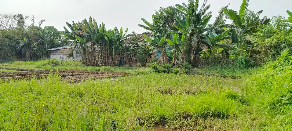 DI JUAL TANAH LT 4381 DI SUKAMANTRI SUKARAYA CIKARANG UTARA KAB BEKASI