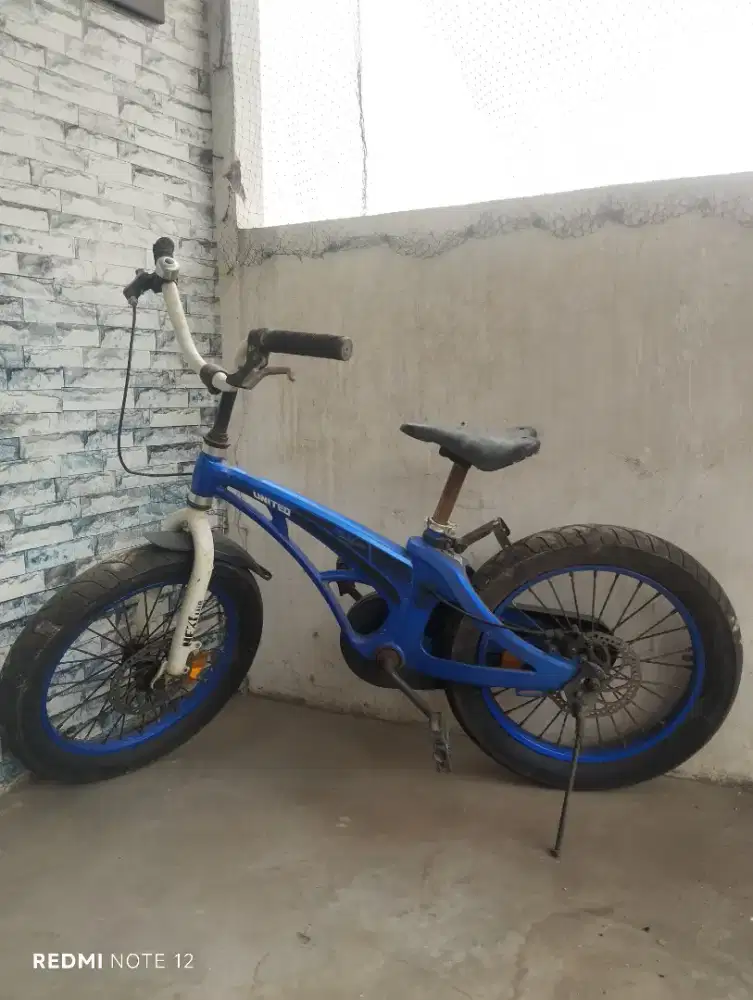 Jual murah sepeda anak 16 inch united nexi-lite bekas