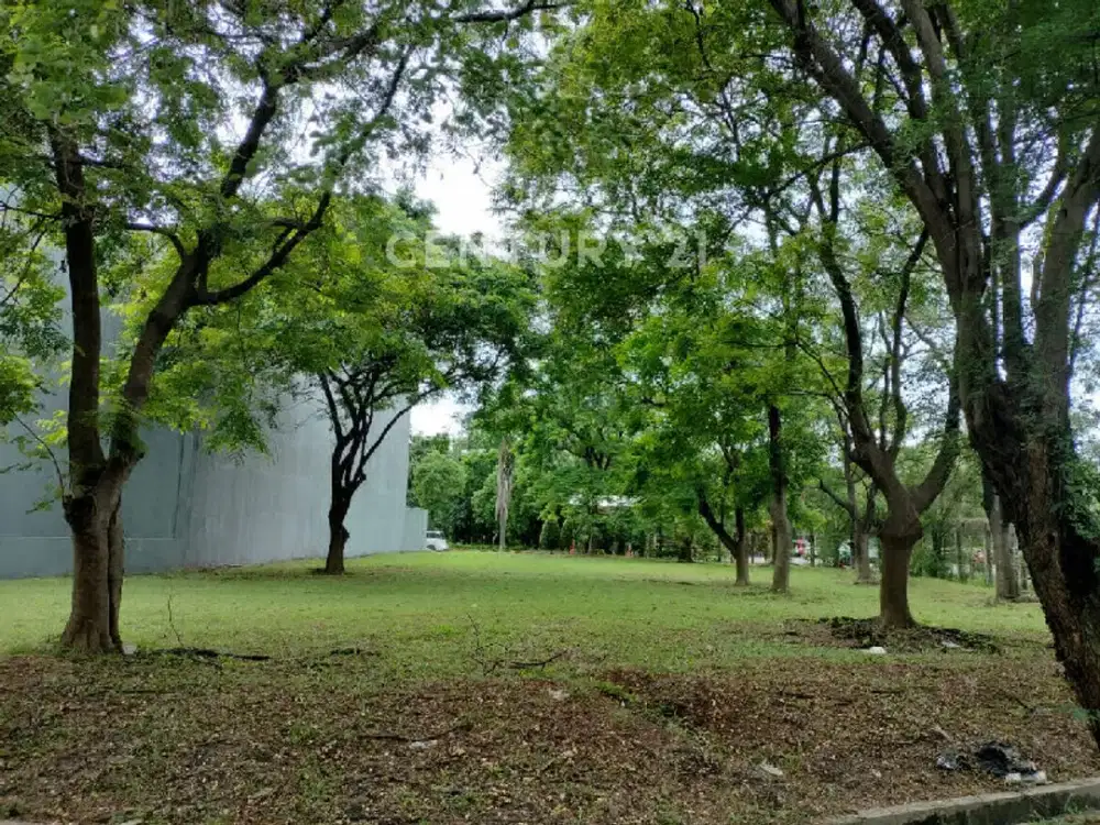 Dijual Tanah Kavling Hoek Di Mayang Permai PIK