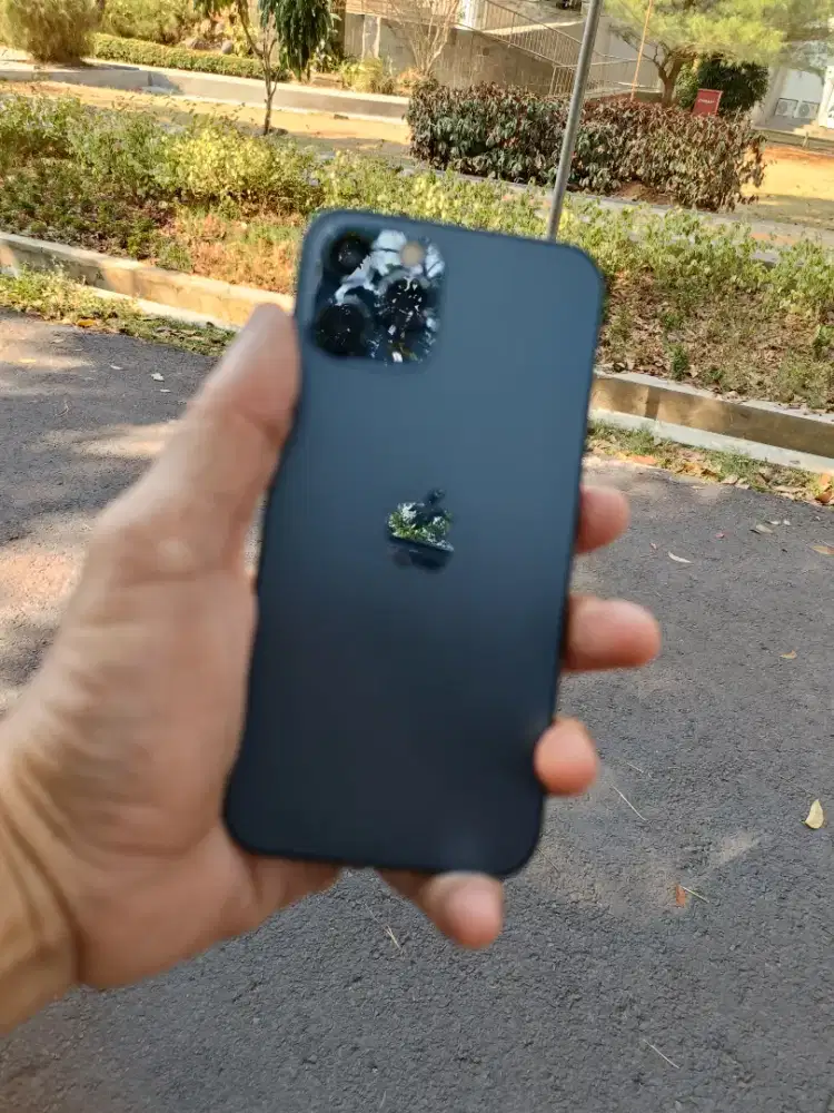 iphone 12 pro 128 mulus