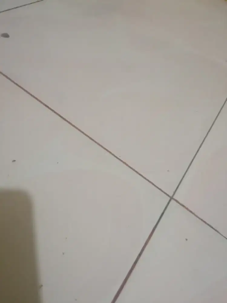 Ahli di bidangnya.bisa di percaya .menolak jika ada anjingnya