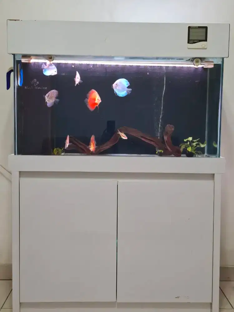 Aquarium akuarium lemari full set 100x40 cm