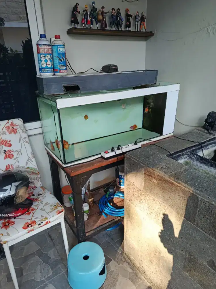 aquarium 100x40x40