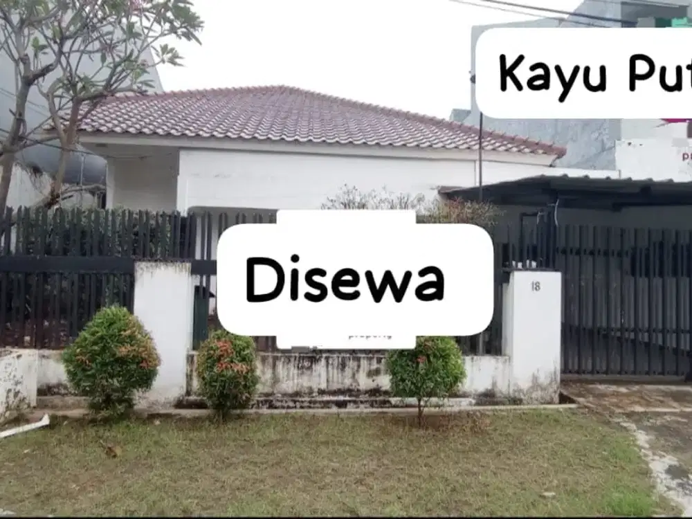 Disewakan & Dijual Rumah Asri 1 lantai di Kayu Putih