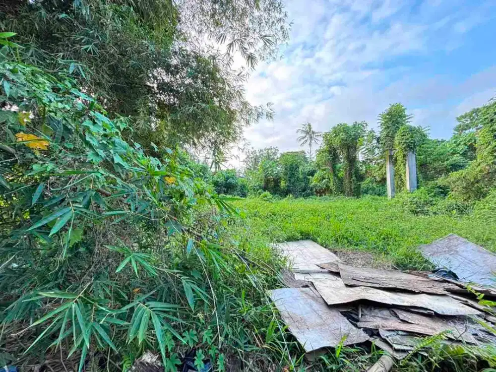 di jual tanah bagus dekat Ubud cocok untuk di kaplvling atau komplek villa