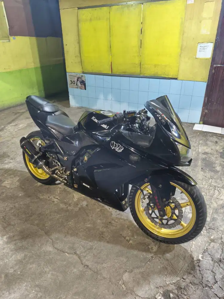 Ninja 250 Karbu 2 Slinder 2009