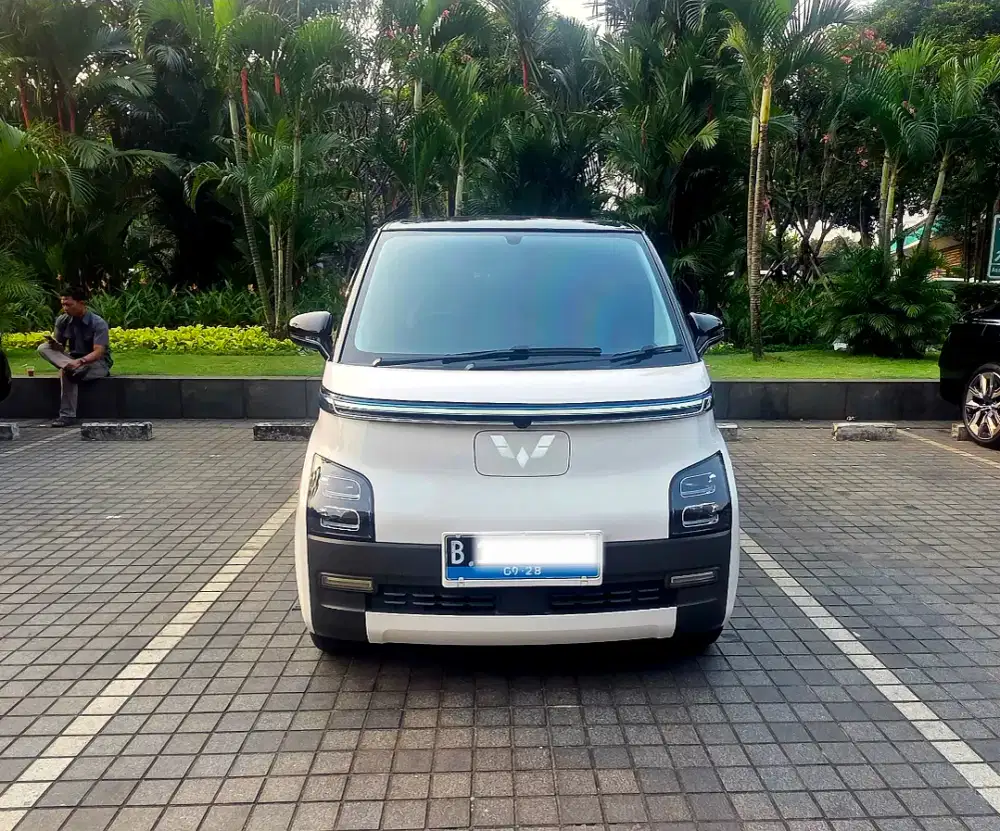 Air Ev Pro Long Range 2023