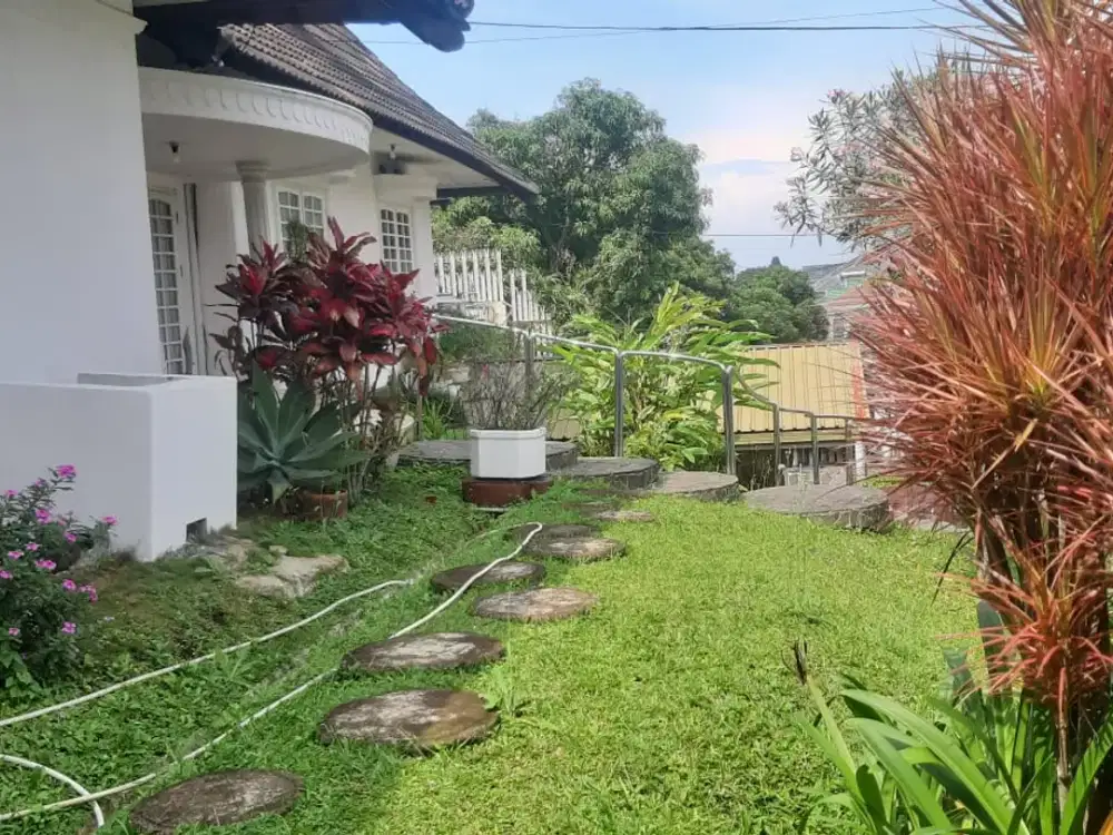 dijual/disewa rumah mewah full furnished di setra sari