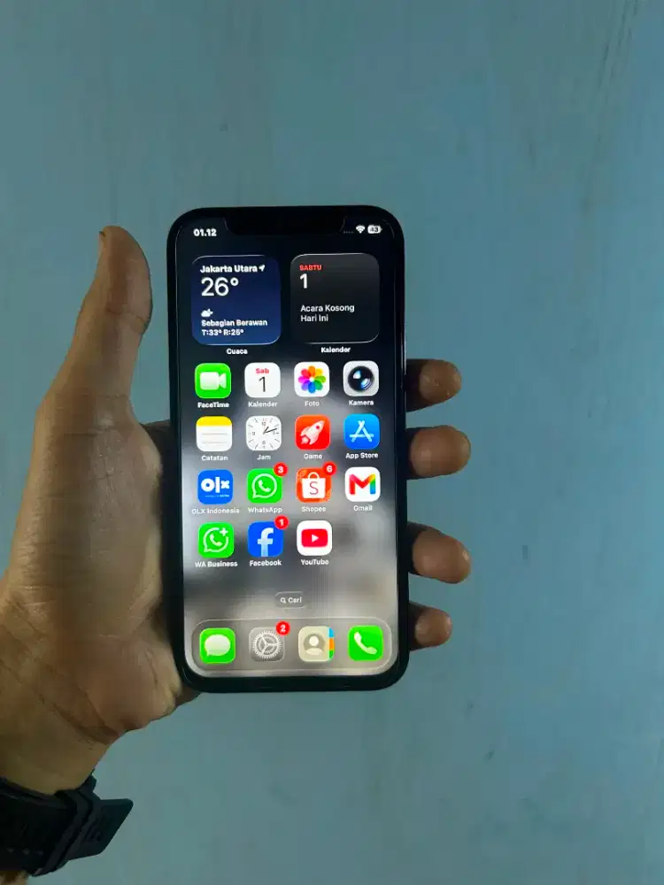 iPhone 12Pro (256GB)