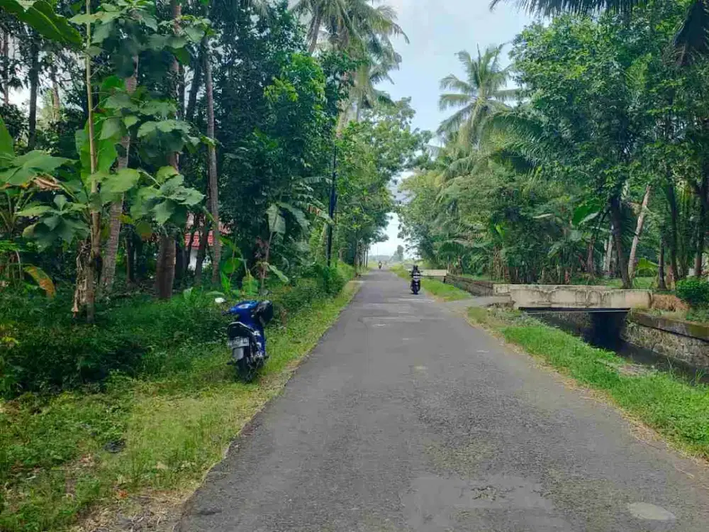 Tanah Dijual di Cerme Panjatan Kulon Progo