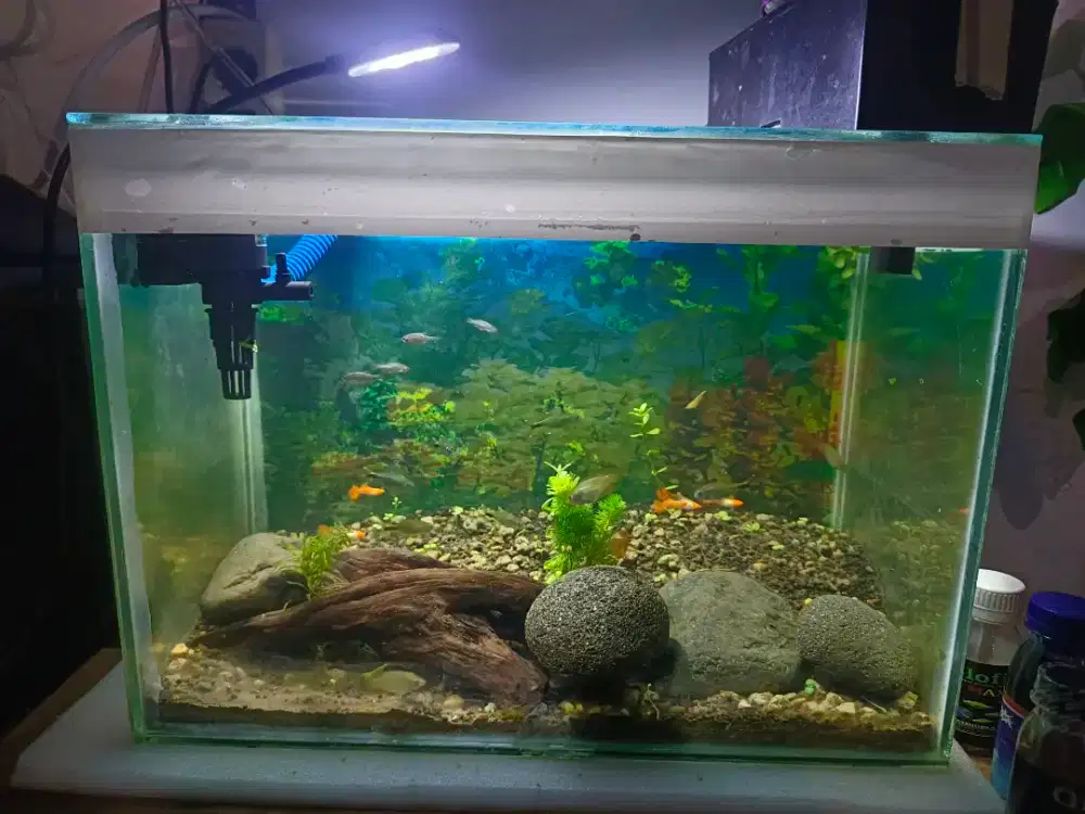 AQUARIUM SIAP PAKAI