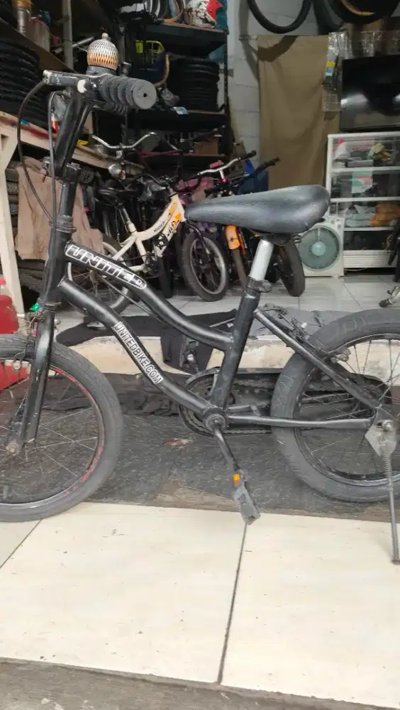 Sepeda anak r 16 merk Uneted siap gowes semua normal 250rb saja