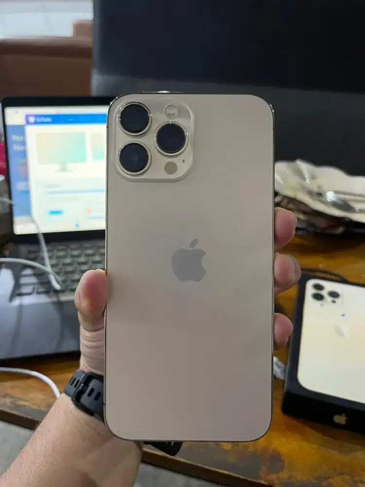 Iphone 13 promax