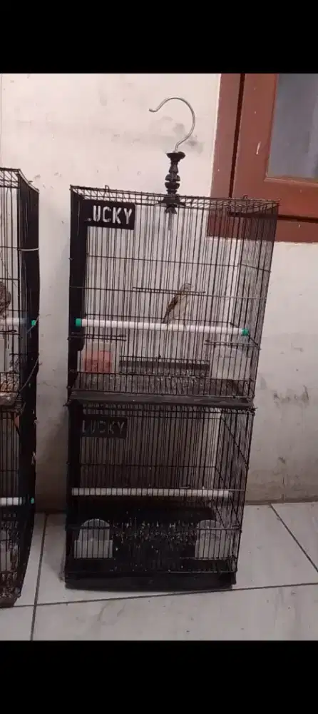Sangkar besi tingkat second rasa baru ukuran kenari dll