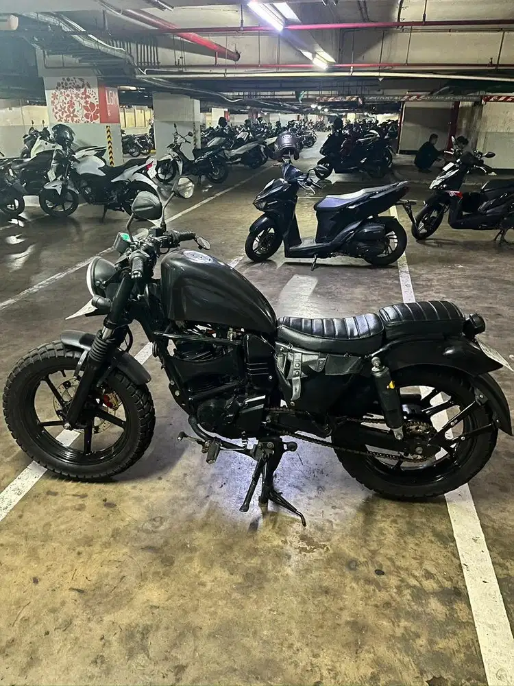 Yamaha byson 2013 custom