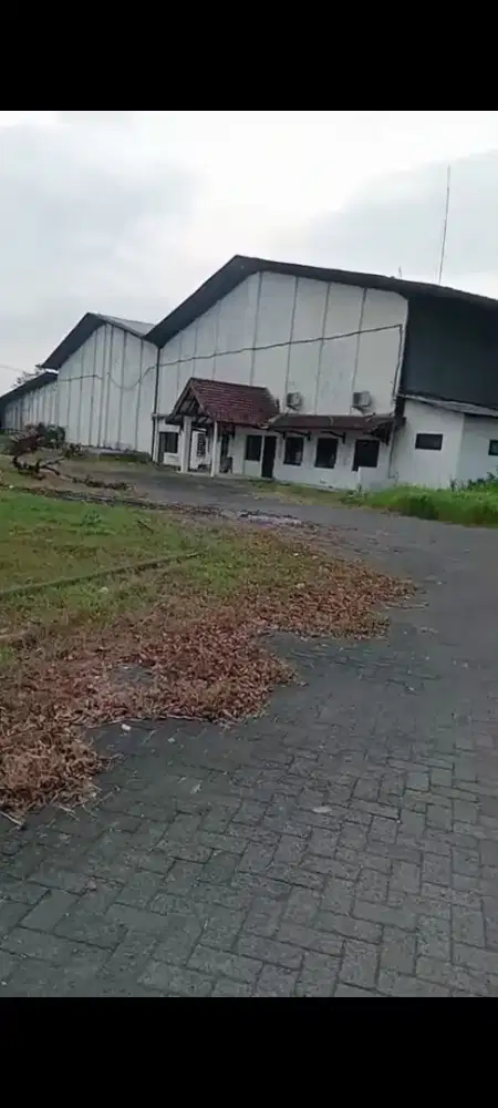 Dijual Pabrik Mebel Rembang Pasuruan